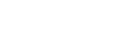Logo NANOGEYSER