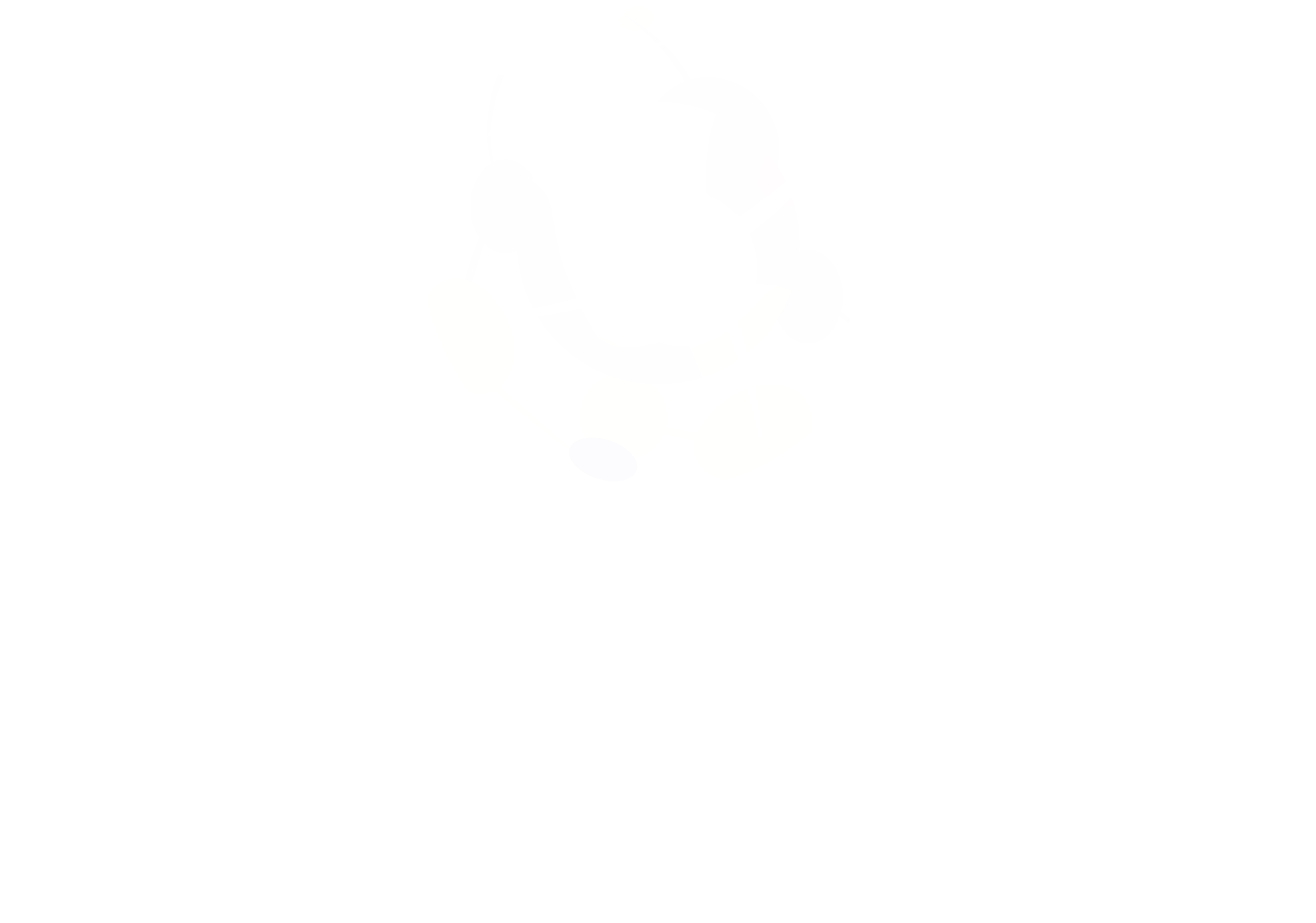 Logo NANOGEYSER